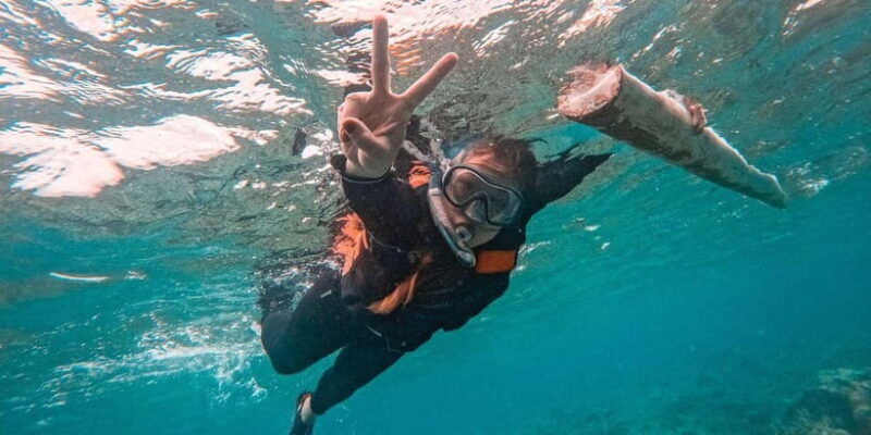 Bohol: Dolphin Watching & Balicasag Island Hopping Tour - The Experience in Detail