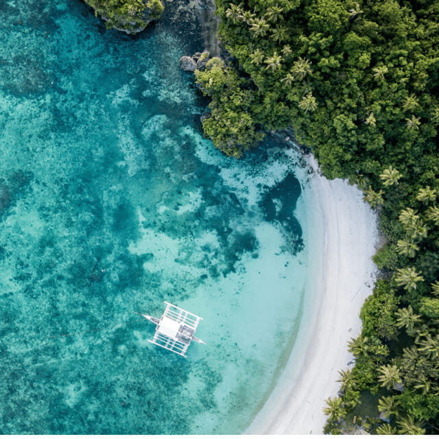 Bohol: Dolphin Watching, Balicasag Island Hopping Tour - The Sum Up