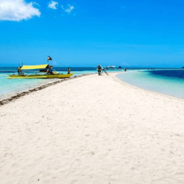 Bohol: Dolphin Watching, Balicasag Island Hopping Tour - FAQ