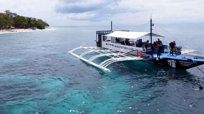 Bohol: Dolphin Watching & Snorkeling at Balicasag Island - Key Points