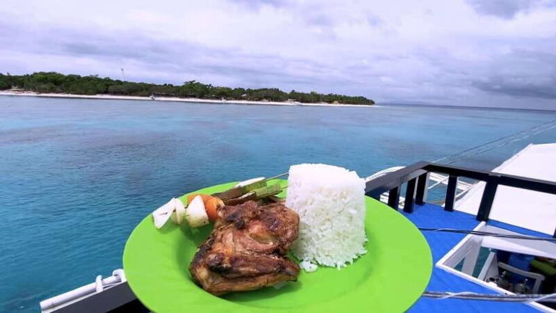 Bohol: Dolphin Watching & Snorkeling at Balicasag Island - Who Should Consider This Tour?