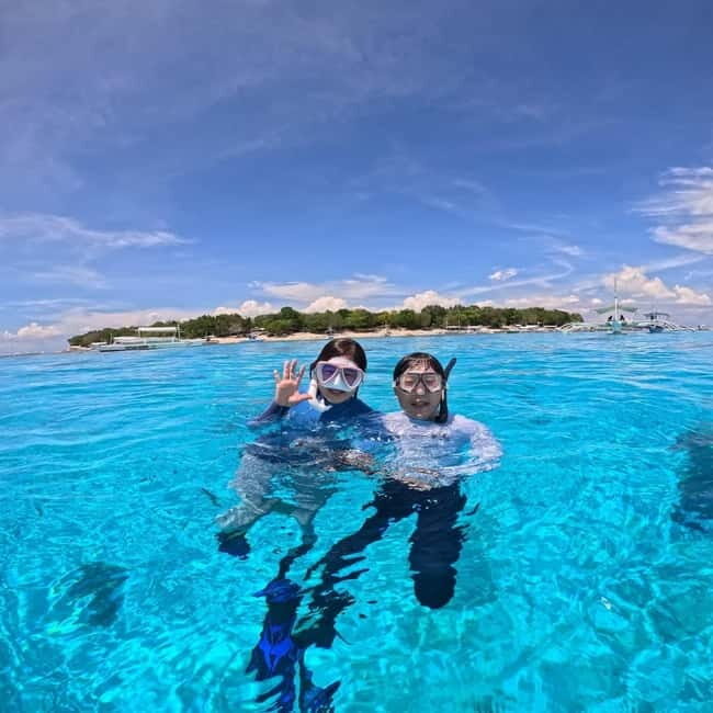 BOHOL: Dolphin Watching, Turtle Swim and Island Party - Key Points