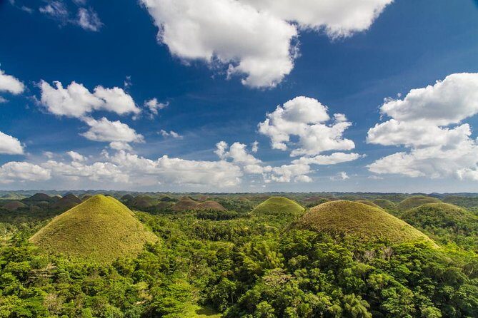 Bohol Highlights Tour: Chocolate Hills, Tarsier Spotting and Loboc River Cruise - Key Points