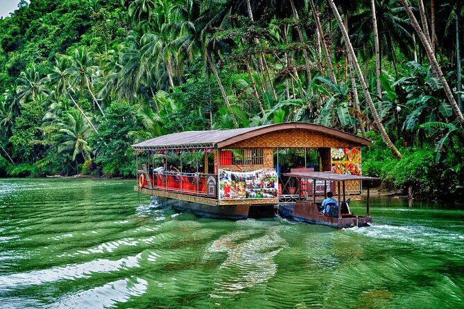 Bohol Highlights Tour: Chocolate Hills, Tarsier Spotting and Loboc River Cruise - An In-Depth Look at the Bohol Highlights Tour
