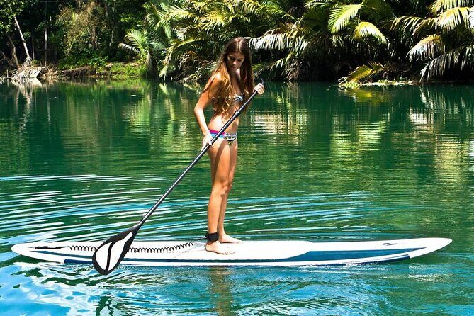 Bohol Highlights Tour: Chocolate Hills, Tarsier Spotting and Loboc River Cruise - FAQs