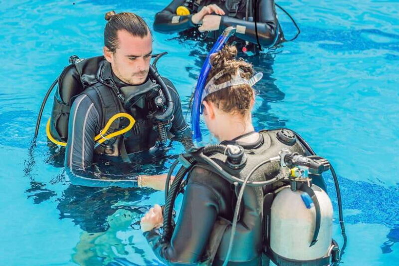 Bohol island: Fun dive local dive - Bohol island: Fun dive local dive — An Authentic Underwater Adventure