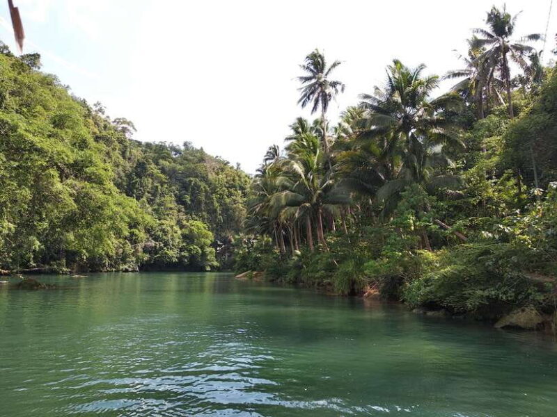Bohol: Loboc River Buffet-Lunch Cruise with Private Transfer - Final Thoughts