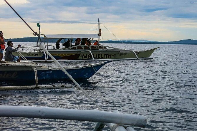 Bohol: Pamilacan Island Dolphin & Whale Watching Tour - An In-Depth Look at the Pamilacan Island Dolphin & Whale Watching Tour