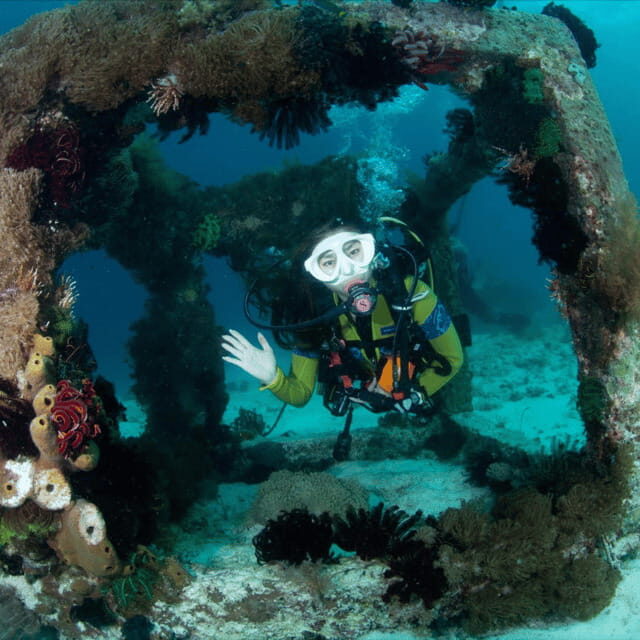 Bohol: Pamilacan Island Fun Dive Experience! - FAQ