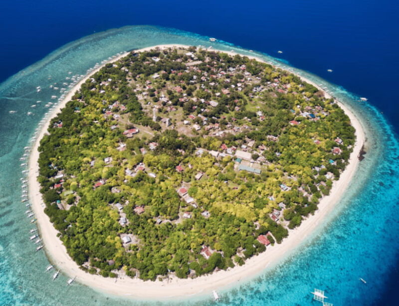 Bohol: Panglao Island Hopping & Dolphin Watching Tour - Key Points