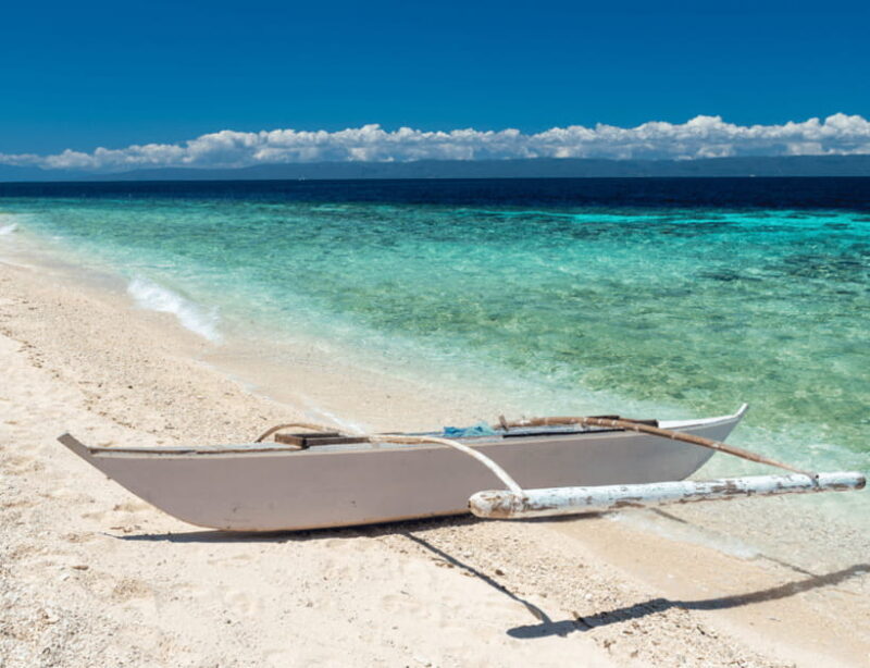 Bohol: Panglao Island Hopping & Dolphin Watching Tour - The Sum Up