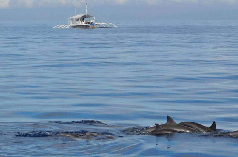 Bohol: Private Balicasag Tour with extra snorkeling time - Authentic Experiences and Practical Aspects