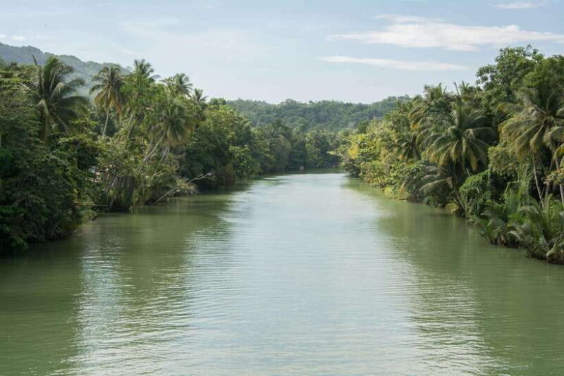 Bohol: Private Countryside Tour with Buffet Lunch - Key Points