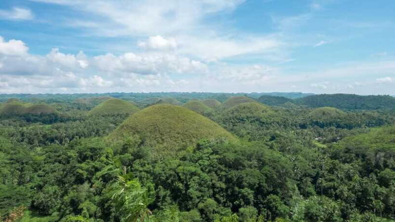Bohol: Private Countryside Tour with Buffet Lunch - Who Will Enjoy This Tour?