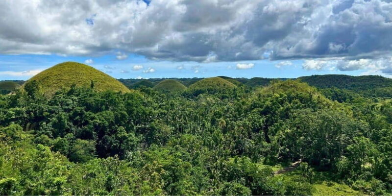 Bohol Private Tour: Chocolate Hills, Tarsiers & Loboc River - Final Thoughts