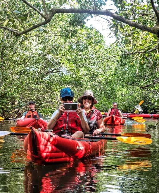 Bohol: SUSTAINABLE Mangrove Tunnels & Firefly Kayaking trail - Key Points