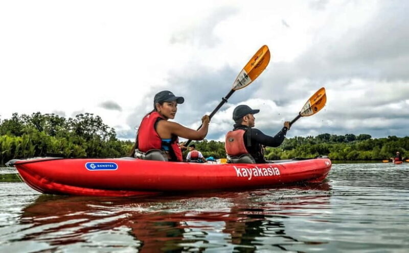 Bohol: SUSTAINABLE Mangrove Tunnels & Firefly Kayaking trail - A Detailed Look at the Bohol Mangrove & Firefly Kayaking Tour
