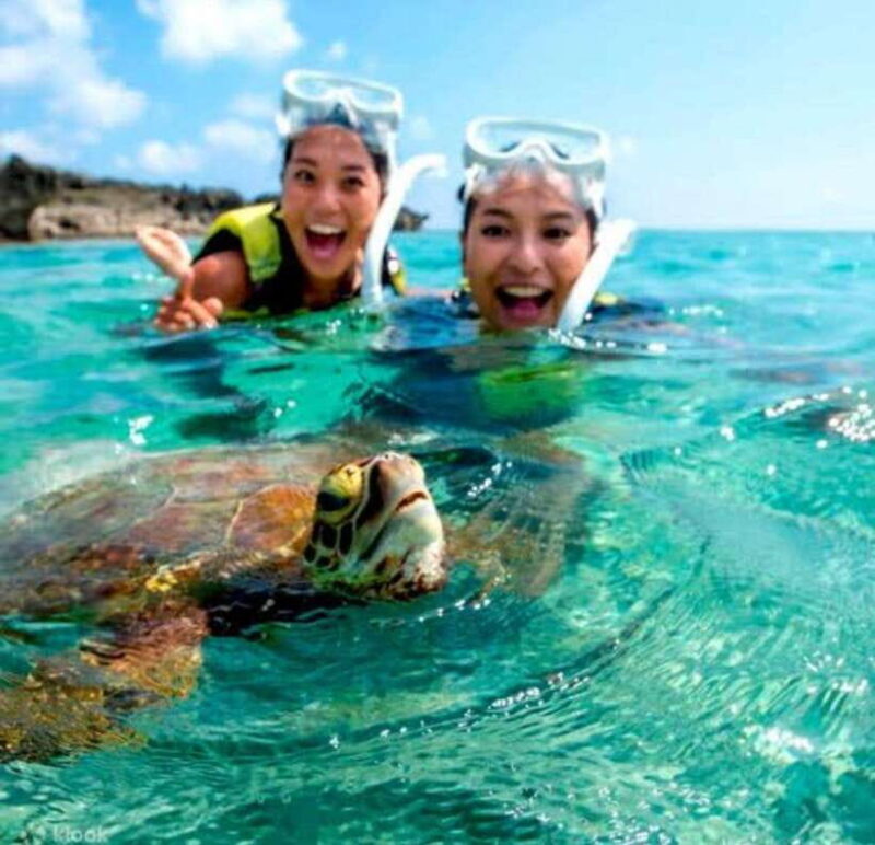 Bohol: Swim with Sea Turtles & Dolphins Island Hopping Tour - Key Points