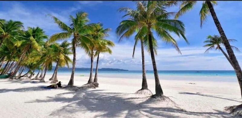 Bohol: Swim with Sea Turtles & Dolphins Island Hopping Tour - Final Thoughts: Is It Worth It?