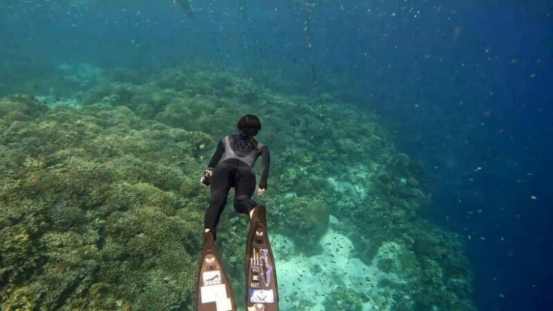 Bohol: Turtle Sanctuary Snorkeling Boat Tour with Lunch - Key Points