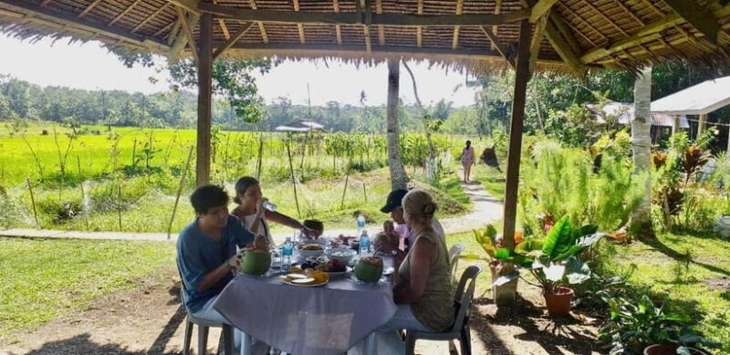 Bohol: Waterfalls, Kayak, Hills Hike, & Tarsier Private Tour - Key Points