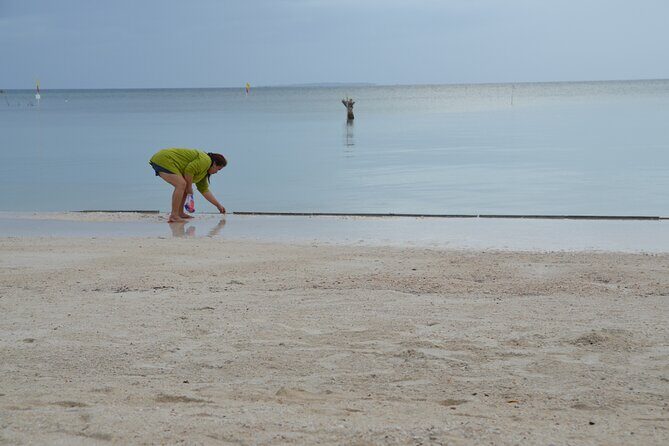 Bohol's Panglao Island Half Day Land & Half Day Island Hopping (Cebu or Bohol) - A Detailed Look at the Experience