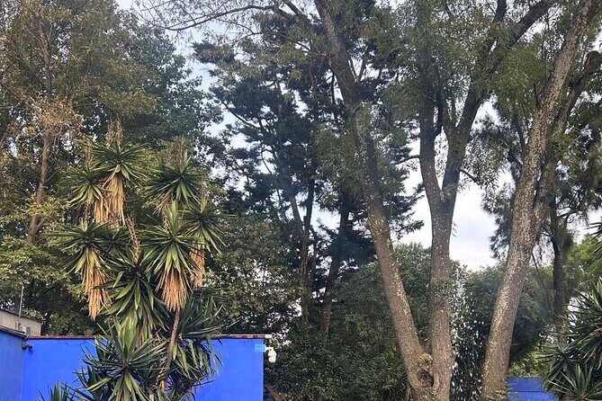 Boletos al Museo Frida Kahlo - Practical Tips