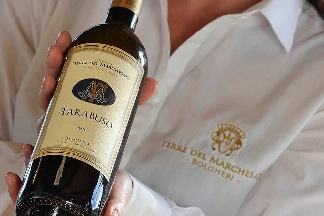 Bolgheri: Classic Wine Tasting with Winery Tour - A Detailed Look at the Bolgheri Winery Tour