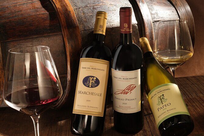 Bolgheri: Classic Wine Tasting with Winery Tour - Practical Considerations and Tips