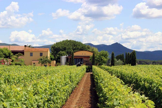 Bolgheri: Classic Wine Tasting with Winery Tour - The Sum Up: Who Will Love This Tour?