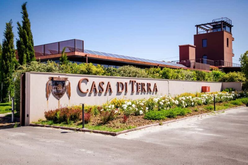 Bolgheri: guided visit of the winery and tasting of our wines - Why This Tour Works Well