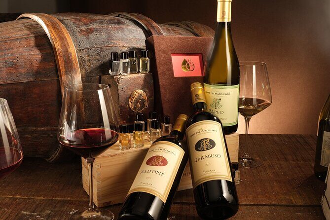 Bolgheri: Sensorial Wine Tasting with Winery Tour - A Deep Dive into the Experience