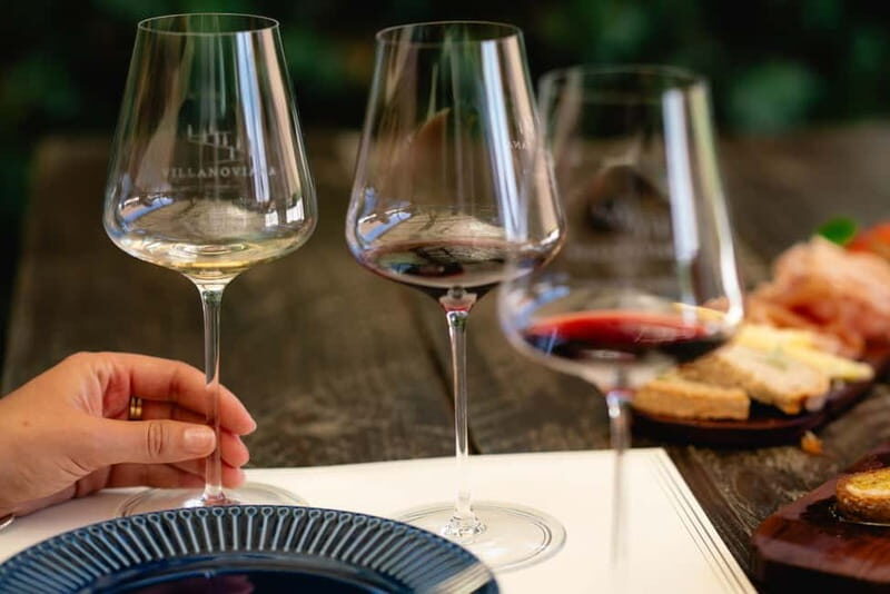 Bolgheri: Tour with wine tasting at Villanoviana - A Practical Look at the Bolgheri Wine Experience at Villanoviana
