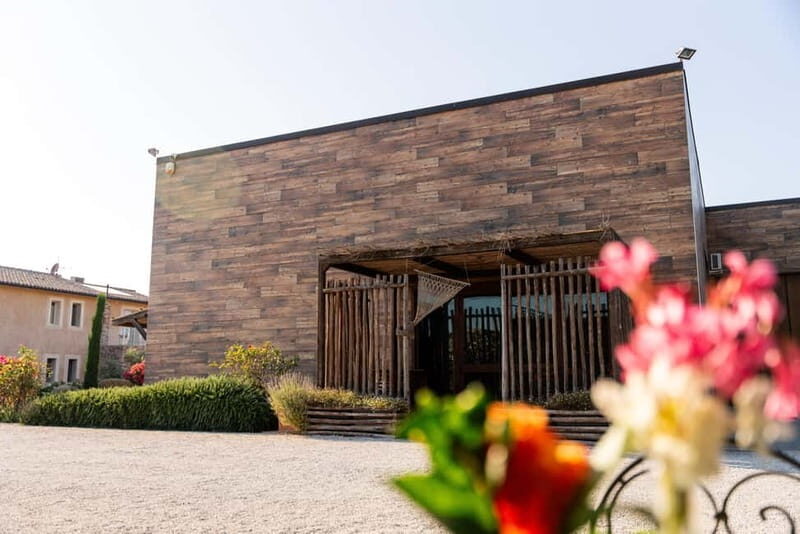 Bolgheri: Tour with wine tasting at Villanoviana - What Travelers Can Expect