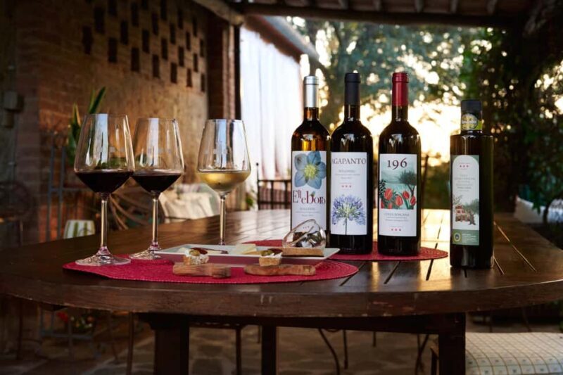 Bolgheri: Wine tasting at Podere Conca - Who Should Consider This Tour?