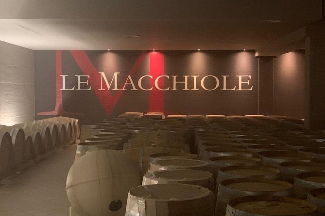 Bolgheri Wine Tour from Lucca - Key Points