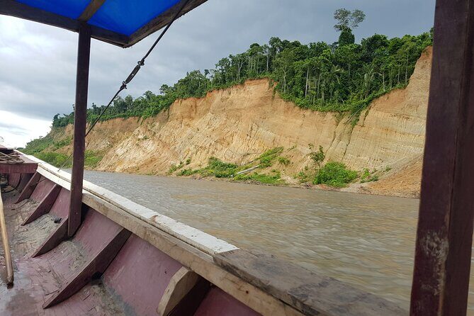 Bolivia Amazon: Madidi & Pampas Yacuma 5 days from Rurrenabaque - Exploring Bolivia’s Amazon: A Complete Review