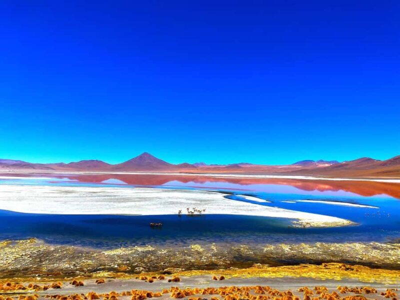 BOLIVIA: DISCOVER UYUNI SALT FLAT & TUNUPA VOLCANO IN 2D/1N - The Experience in Detail