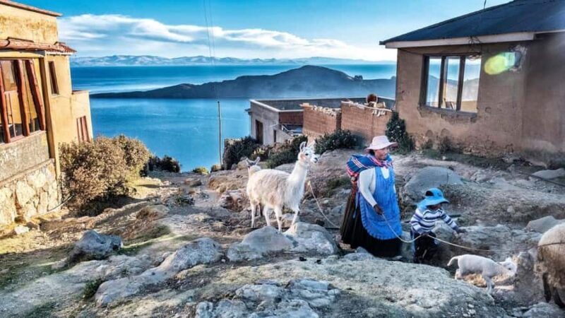 Bolivia: Full day to Copacabana & Isla del Sol - The Practical Side: Transportation, Guides, and Costs