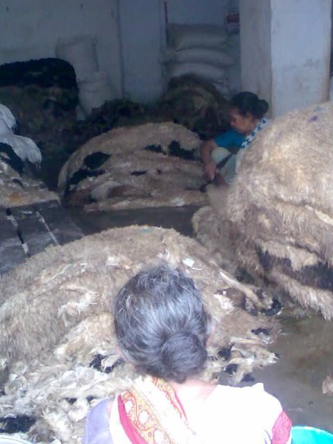 Bollywood tour with Slum Tour & Dance show - Who Will Benefit Most?