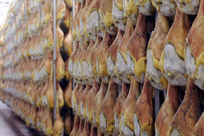 Bologna Food Experience: Factory tours & Family-Style Lunch - FAQs