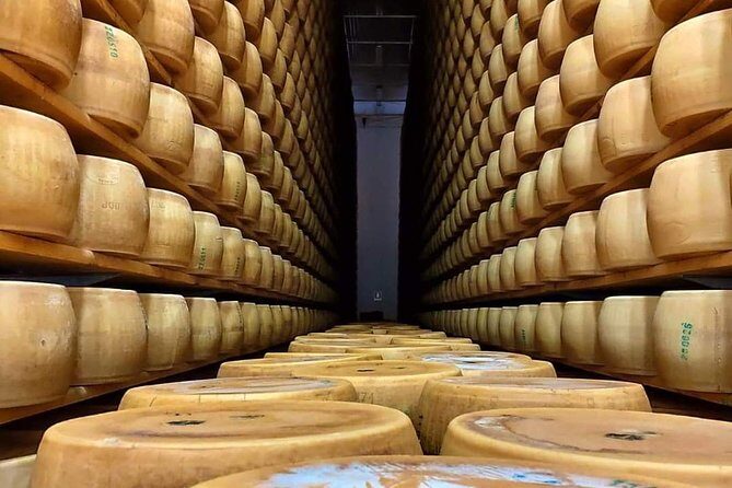 Bologna Food Experience: Factory tours & Family-Style Lunch - Final Thoughts