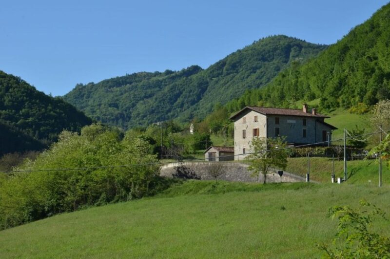 Bologna Forlì: foraging, looking for wild edible herbs - Exploring Emilia-Romagna’s Wild Side: The Foraging Tour in Detail