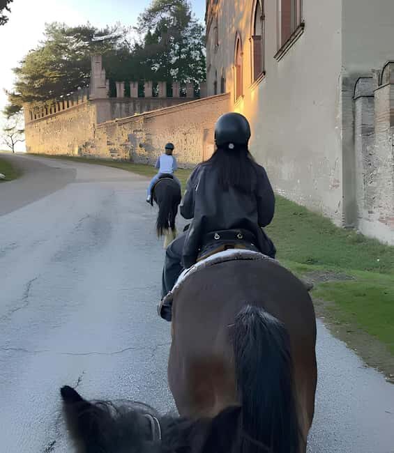 Bologna: Horseback Ride in the Bolognese Hills - Authentic Experiences and Real Reviews