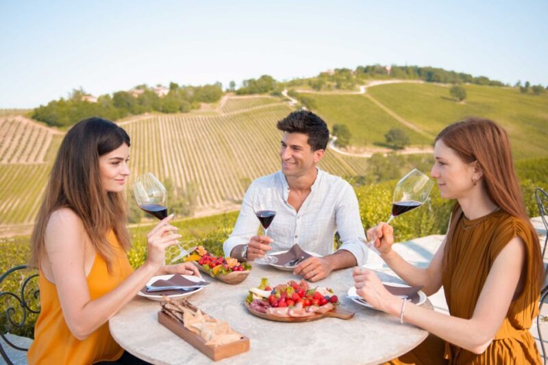 Bologna: Olive Grove and Vineyard Tour with Product Tastings - The Experience in Detail