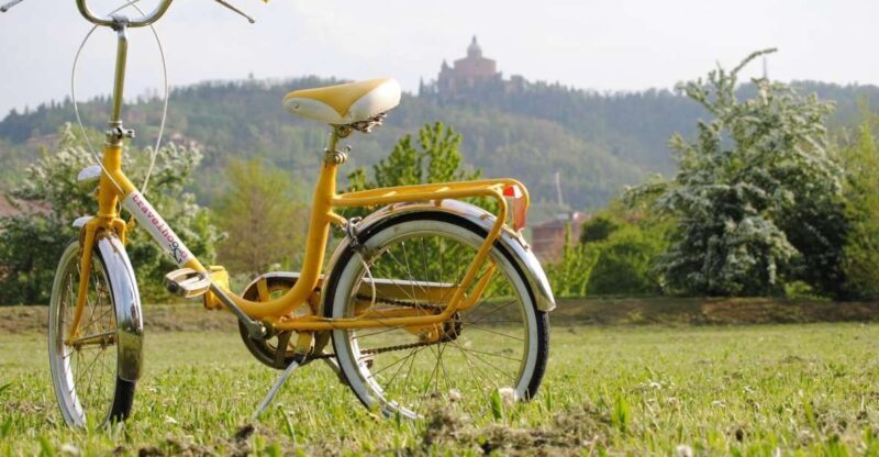 Bologna: Panoramic Bike Tour - Exploring Bologna on Two Wheels: An Authentic Urban Experience
