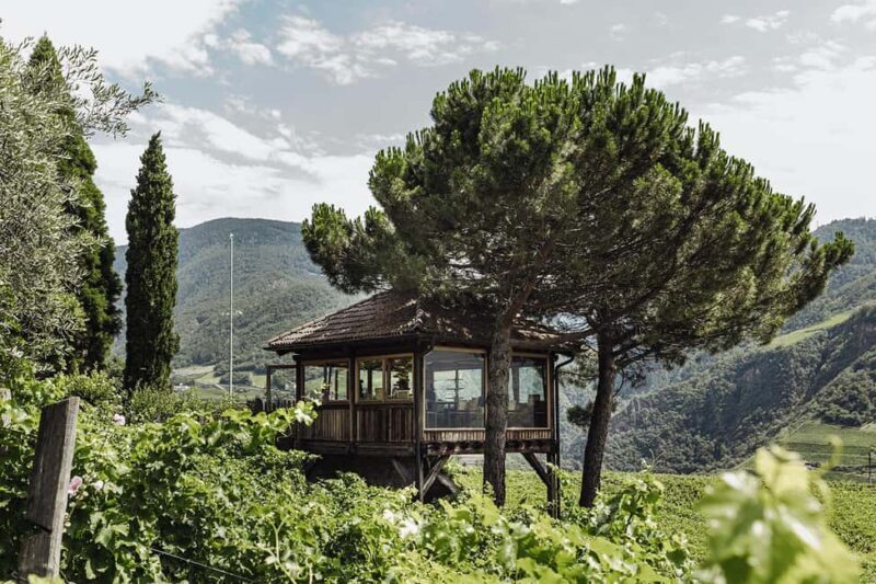 Bolzano: Wine Tasting at SKYWINE Pavilion with Views - What Makes This Tour Special?
