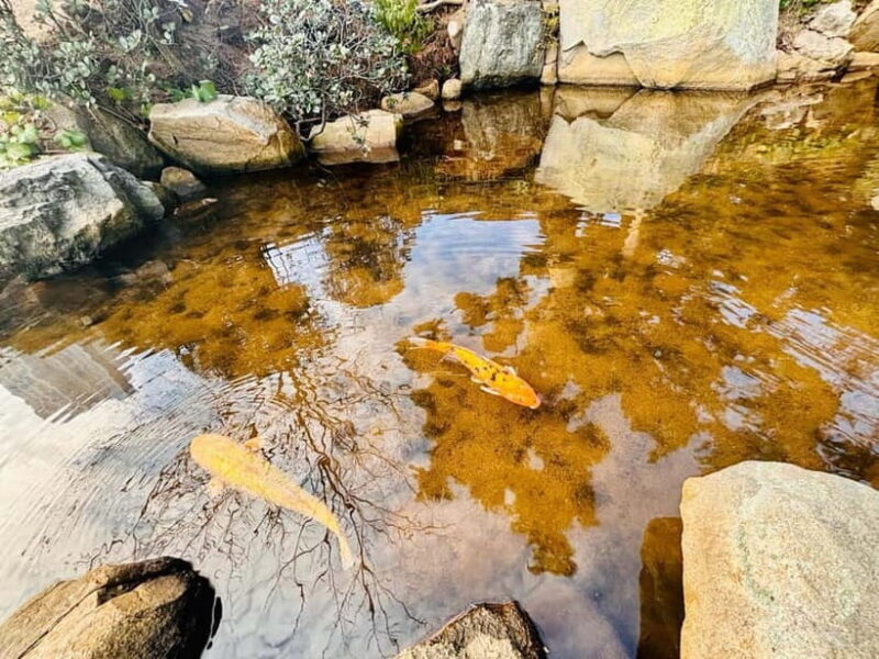 Bomb to bloom Highlights of Hiroshima walking group tour - Final Thoughts