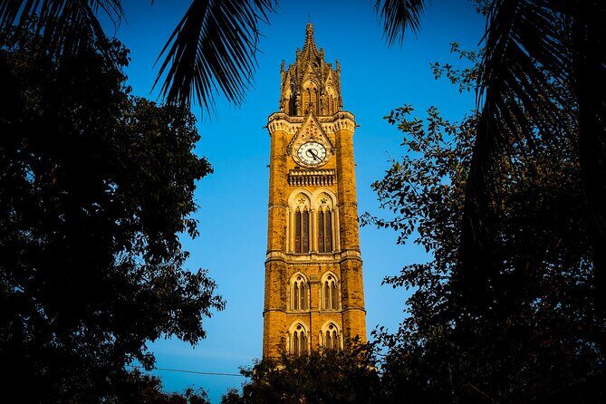 Bombay Fort Heritage Walking Tour - Who Would Enjoy This Tour?