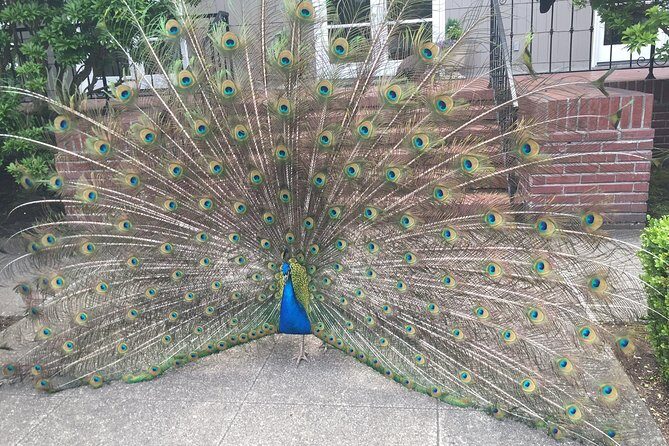 Bon Vivant Woodinville Wine Tasting Tour - Exploring the Woodinville Wine Experience in Detail